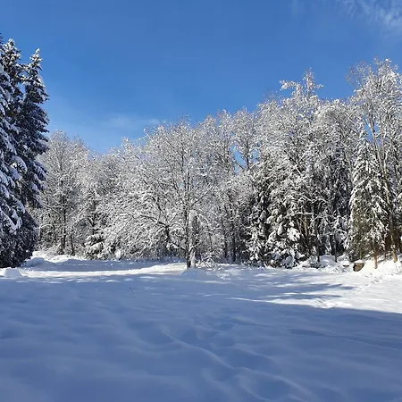 Harmonie Titisee-Neustadt