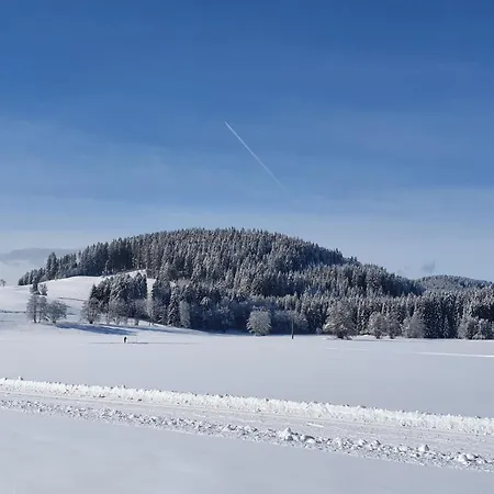 Harmonie Lägenhet Titisee-Neustadt
