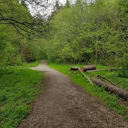 Harmonie Lägenhet Titisee-Neustadt