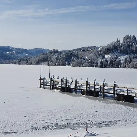 Harmonie Lägenhet Titisee-Neustadt