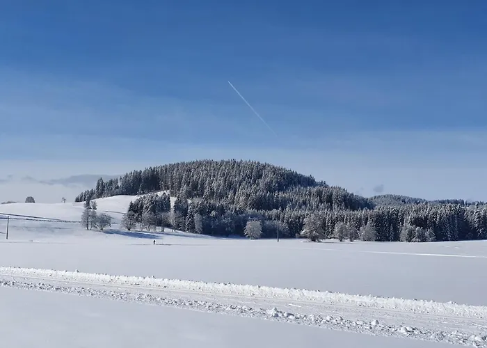 Harmonie Lejlighed Titisee-Neustadt