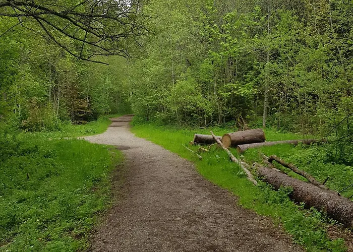 Harmonie Lejlighed Titisee-Neustadt